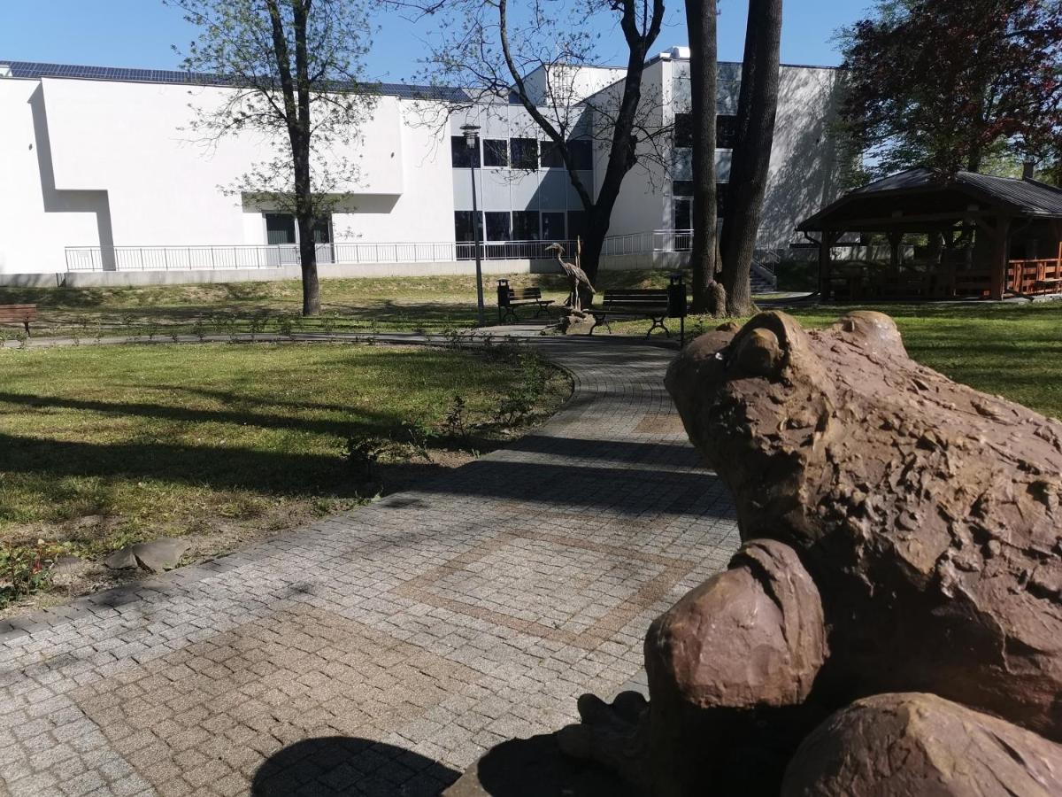 Zielony Zakatek Ciezkowice المظهر الخارجي الصورة